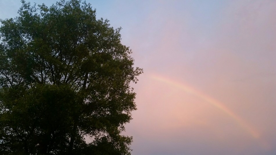 20150820_201642.jpg image