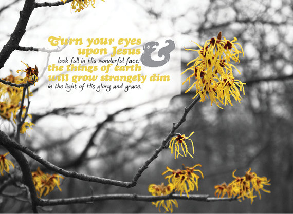 il_570xN_730200552_mqih