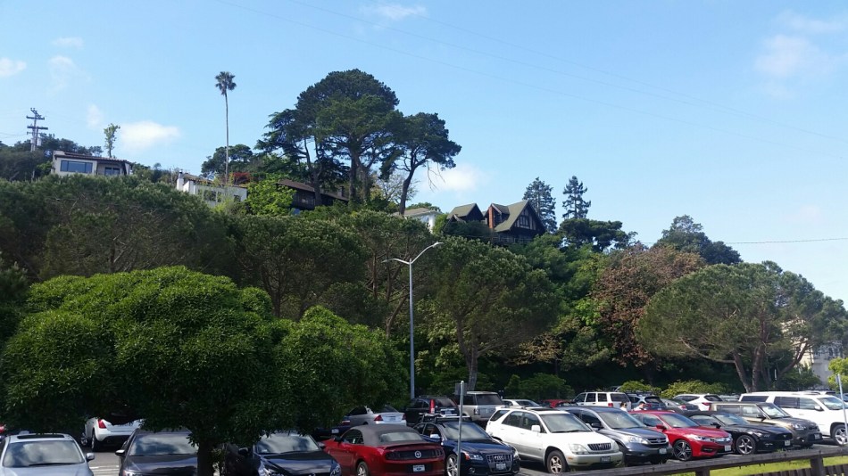 20160401_112138.jpg image