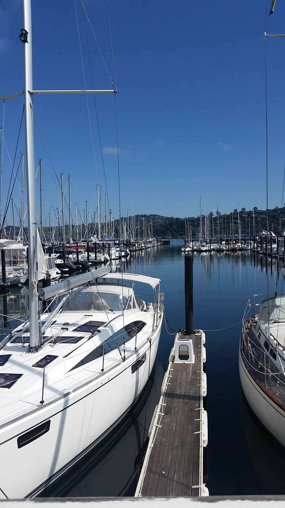 20160401_112349.jpg image