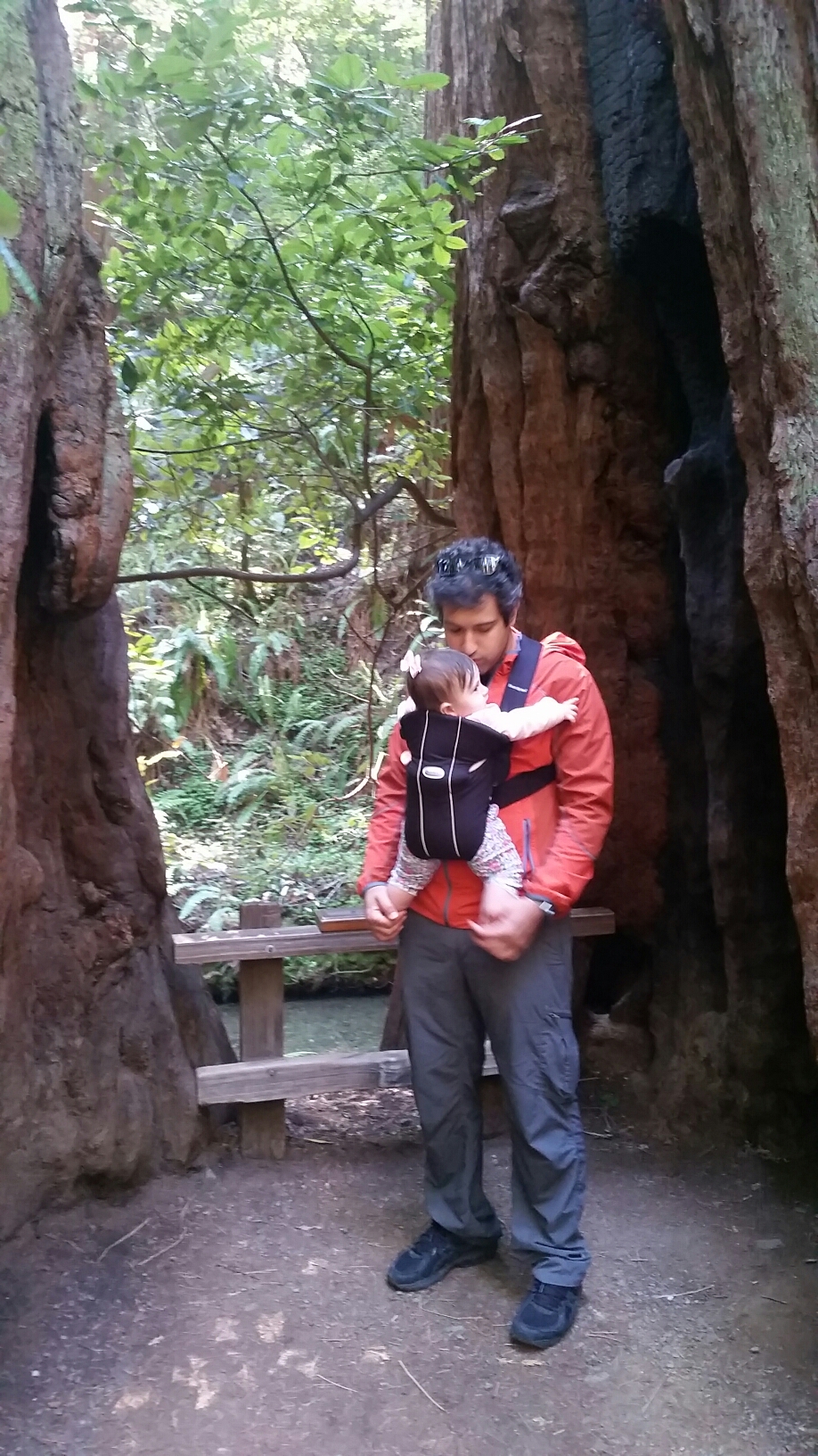 20160401_145812.jpg image