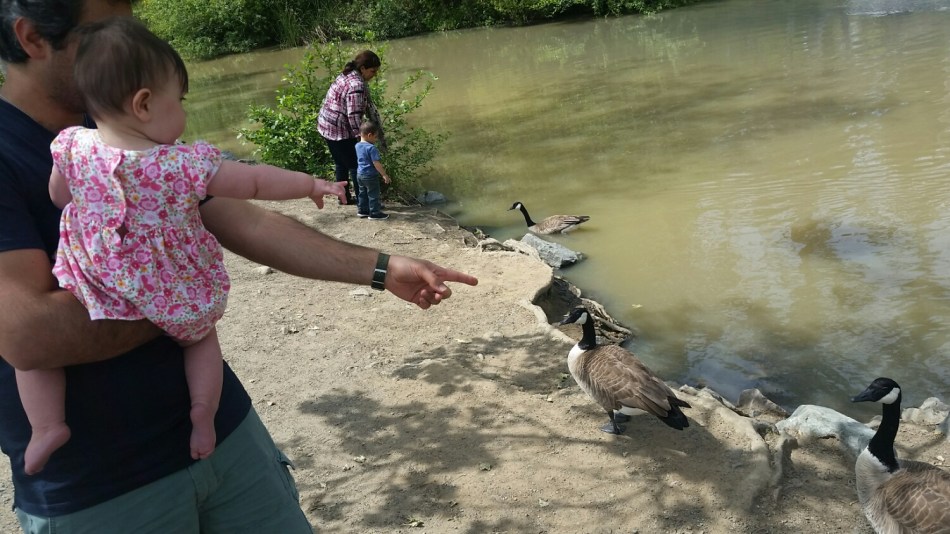 20160403_135924.jpg image