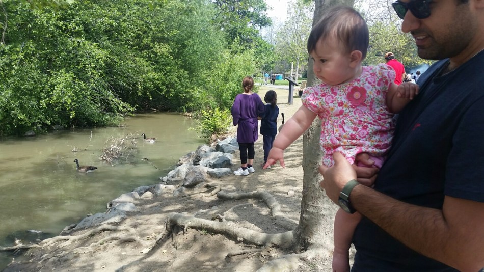 20160403_135948.jpg image