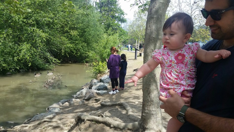 20160403_140004.jpg image