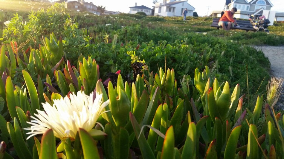 20160403_191038.jpg image