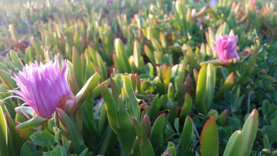 20160403_191148.jpg image