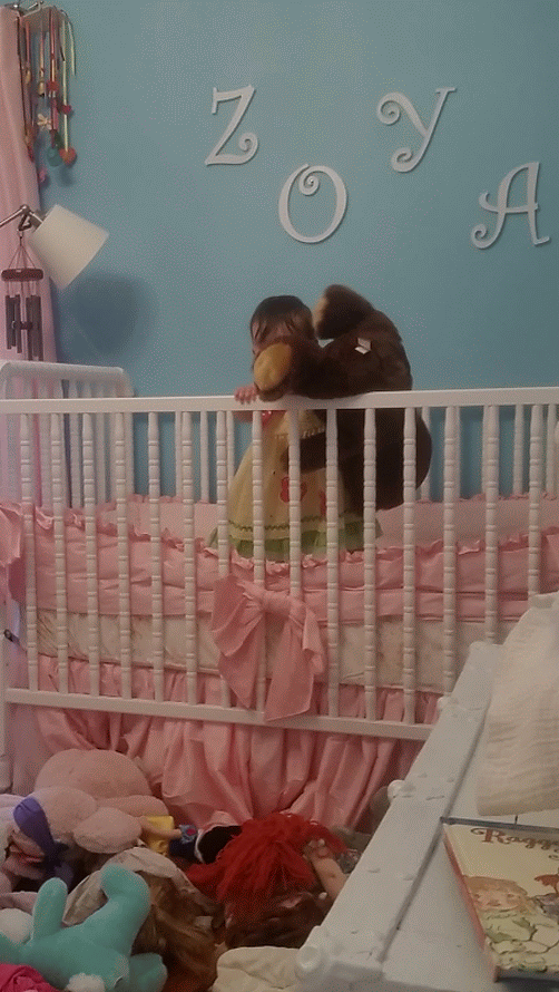 20160530_183021-ANIMATION