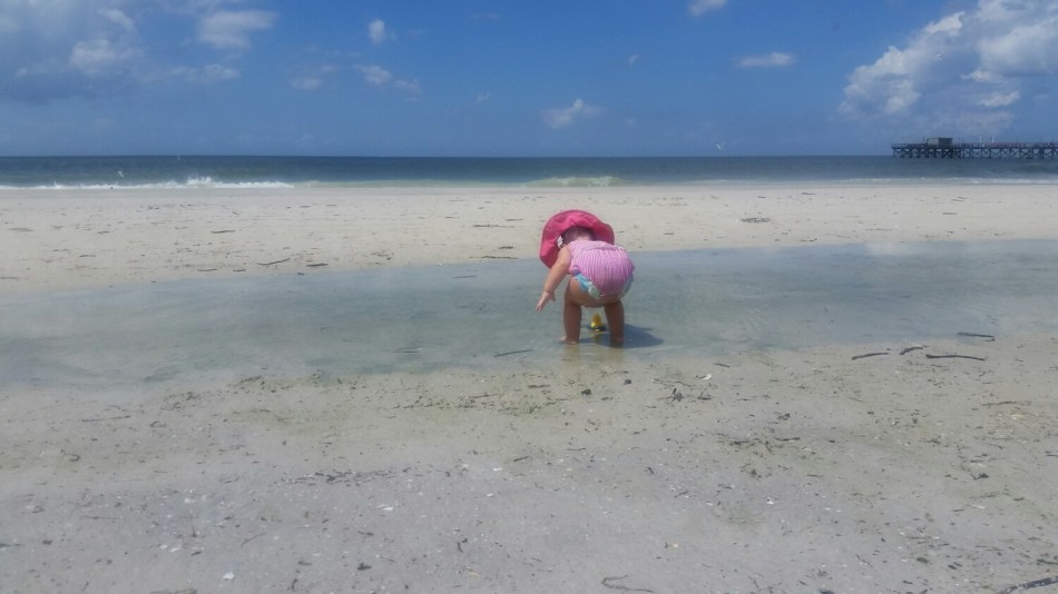 20160829_122629.jpg image