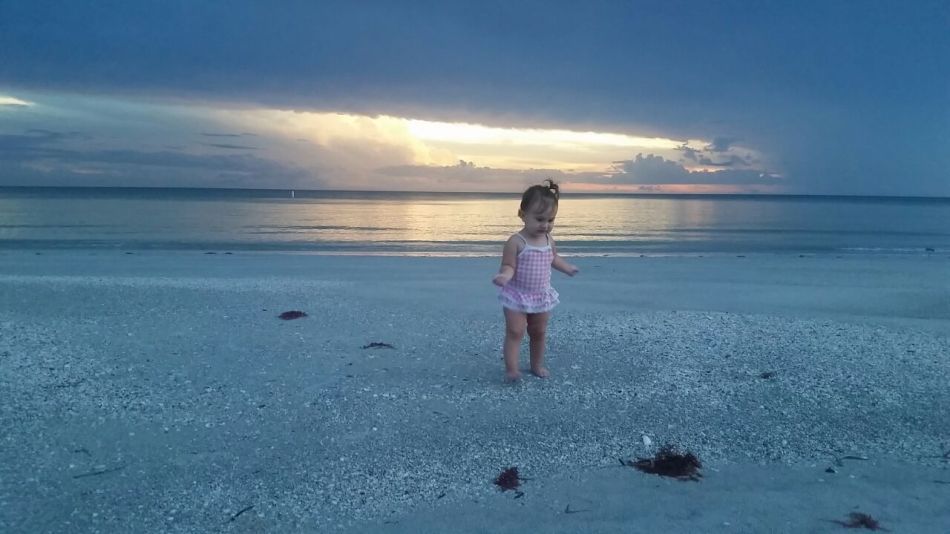 803703200_84808.jpg image