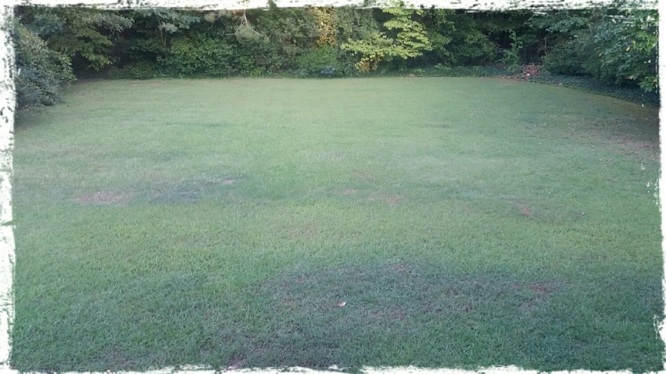 wp-1473895105294 image